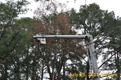 Entergy 028